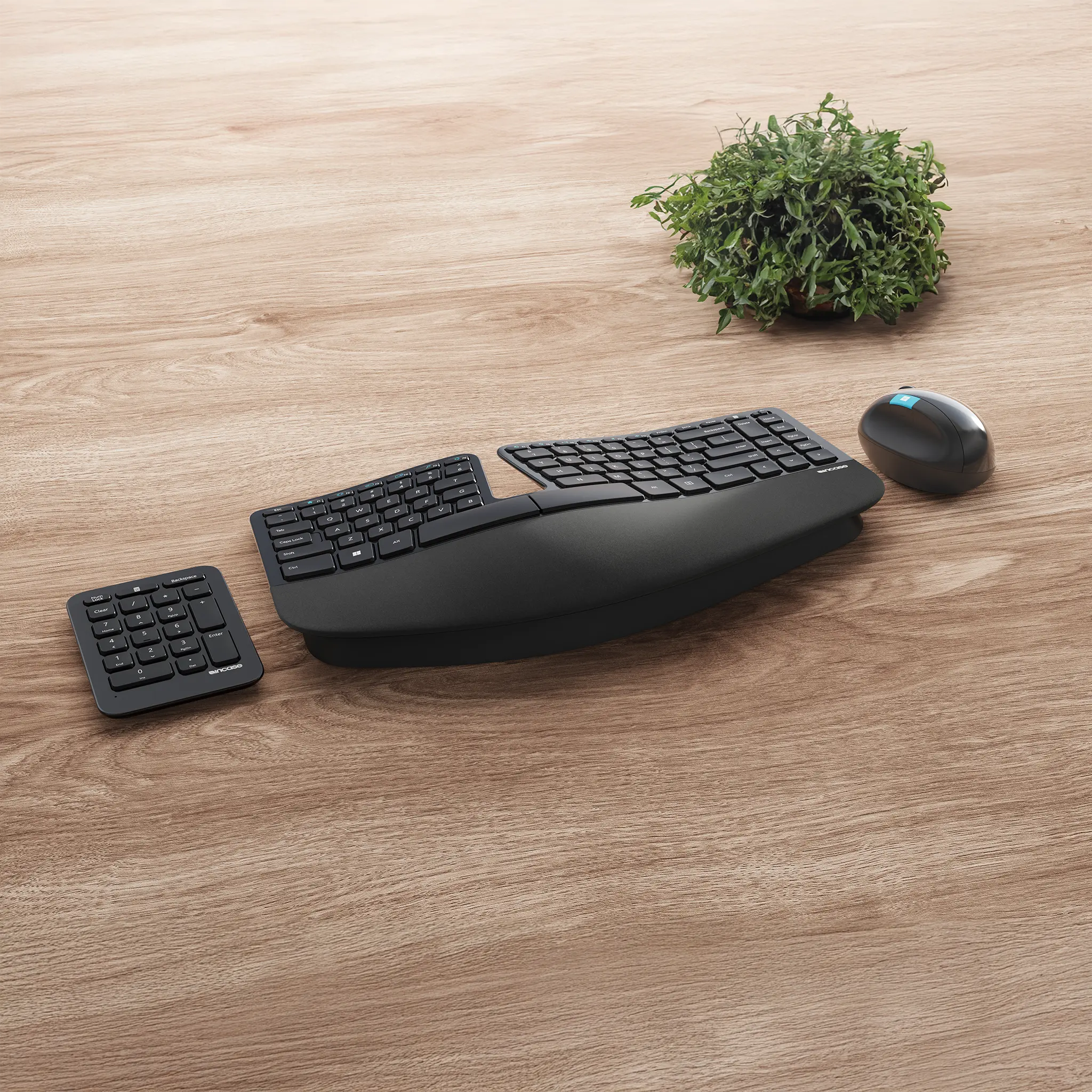 incase-designed-by-microsoft-sculpt-ergonomic-desktop-ergonomisches-tastatur-mau image 2